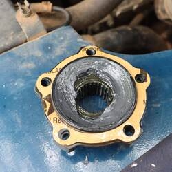 Neues Fett und neue Dichtungen im Radmitnehmer