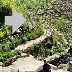 An acequia leading out of the village?