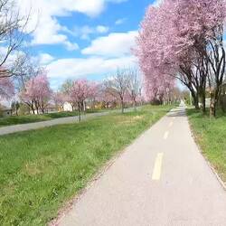 von solchen Radwegen träumt die Mecklenburgische Seenplatte