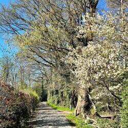 Spaziergang im Park