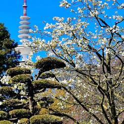 Japanischer Garten