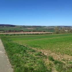 Während der Challenge Runde