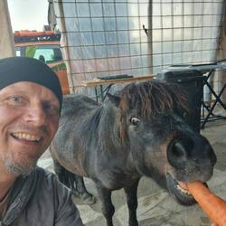 Sir Henry, mein alter Kumpel