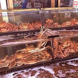 Crab trying to escape...