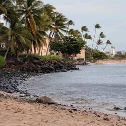Herum liegen können nicht nur wir...