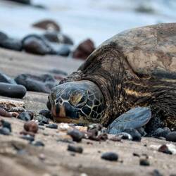 Diesen Gesichtsausdruck fühle ich. 😅🫩 Schnell wieder ins Bett... Gute Nacht.