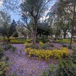 In der Stadt gibt es unzählige wunderbare Parks.