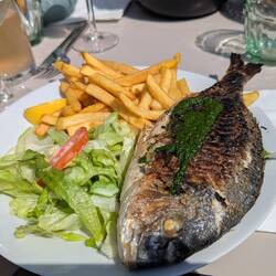 Sea Bass plat du jour for 15 Euros