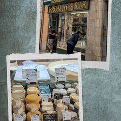 We bought some delicious chevre