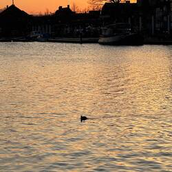 Spring sunsets are my favourite