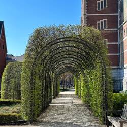 Daily walks around the Museum gardens
