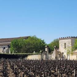 Château Margaux, located in the Bordeaux region of France