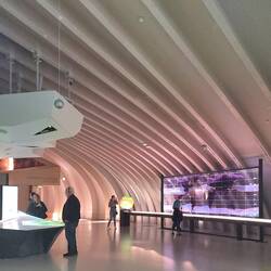 Inside the Wine Museum