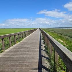 This is not the boardwalk, it is the Riverwalk!