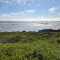 The River at low tide