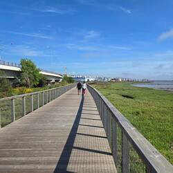 Finishing the never-ending boardwalk facing north.....the direction we are walking