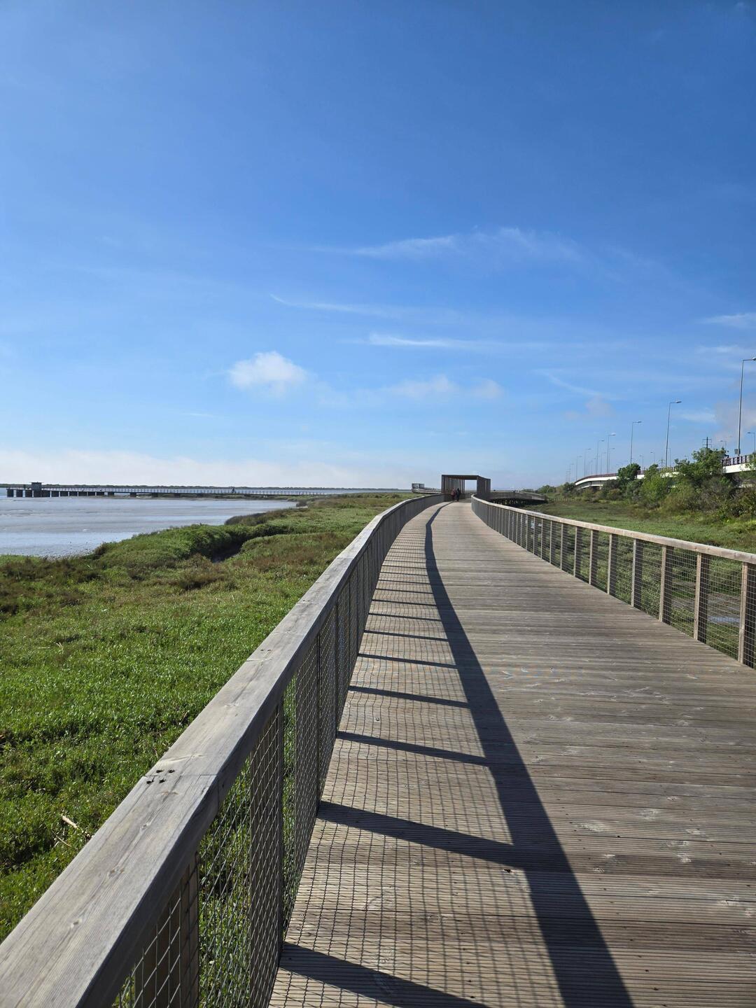 Finishing the never-ending boardwalk of yesterday, looking south