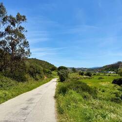 Der Weg nach Odeceixe führte ganz am Schluss noch entlang einer Strasse.