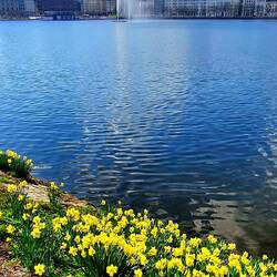 Innenalster mit Fontäne