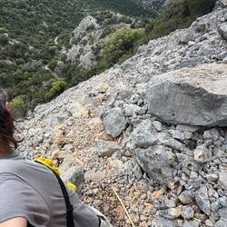 Der wasserlose Krokodilsdings