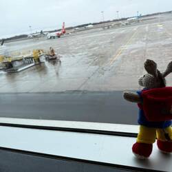 Watching the planes in Montreal