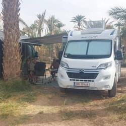 Stellplatz unter Palmen