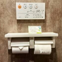 Toilet controls. Can't read Japanese so I just pushed buttons and lots of stuff happened.