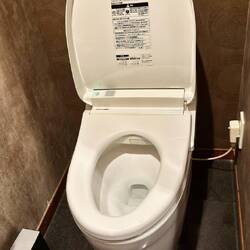 Magic toilet. I couldn't figure out how to flush it. It just took care of everything when it wanted.