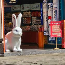 This rabbit looks like he's daring you to come into the store.