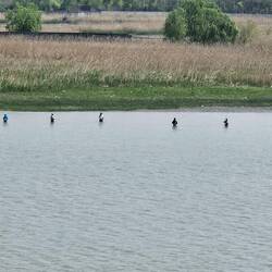 Fishermen along the river.