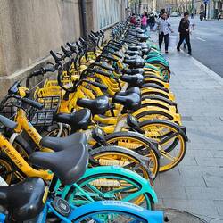 Ride share bikes lined up in Shanghai.