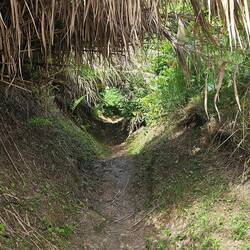 Back to another path...