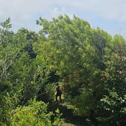 (caught her when she wasn't looking 🤭)