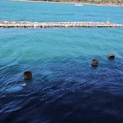 Elles sont classées comme patrimoine immatériel à l'Unesco