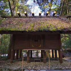 Un des sanctuaires dans le Naiku, construit sur le modèle des greniers à riz