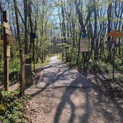 Die Grenze. Unspektakulär😅 aber die Franzosen machen einen schöneren Radweg