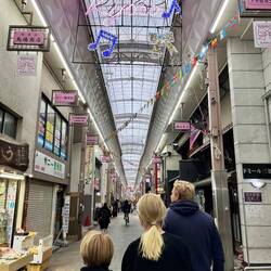 Endnu en kilometerlang overdækket shopping-gade