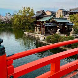 Tilfældig lille helligdom, vi mødte på vejen