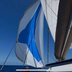 Segeln mit Groß und Gennacker