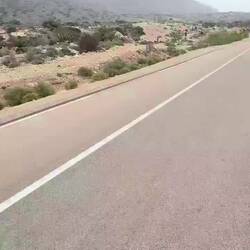 🐪 🐪 🐪 🐪 🐪 🐪 🐪 🐪 🐪 🐪 🐪 🐪