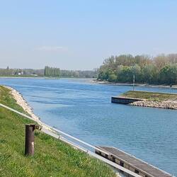 Der Rhein