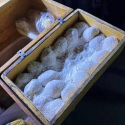 Mango Monchis 😋😋