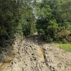 Aber hey, so etwas bleibt wenigstens im Gedächtnis 😅