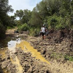 Es war kein Ende in Sicht. Der Radreisende wurde mental wie körperlich herausgefordert.