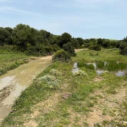 Das nächste Hindernis.