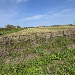 The only farmhouse in sight, with a plowed front yard