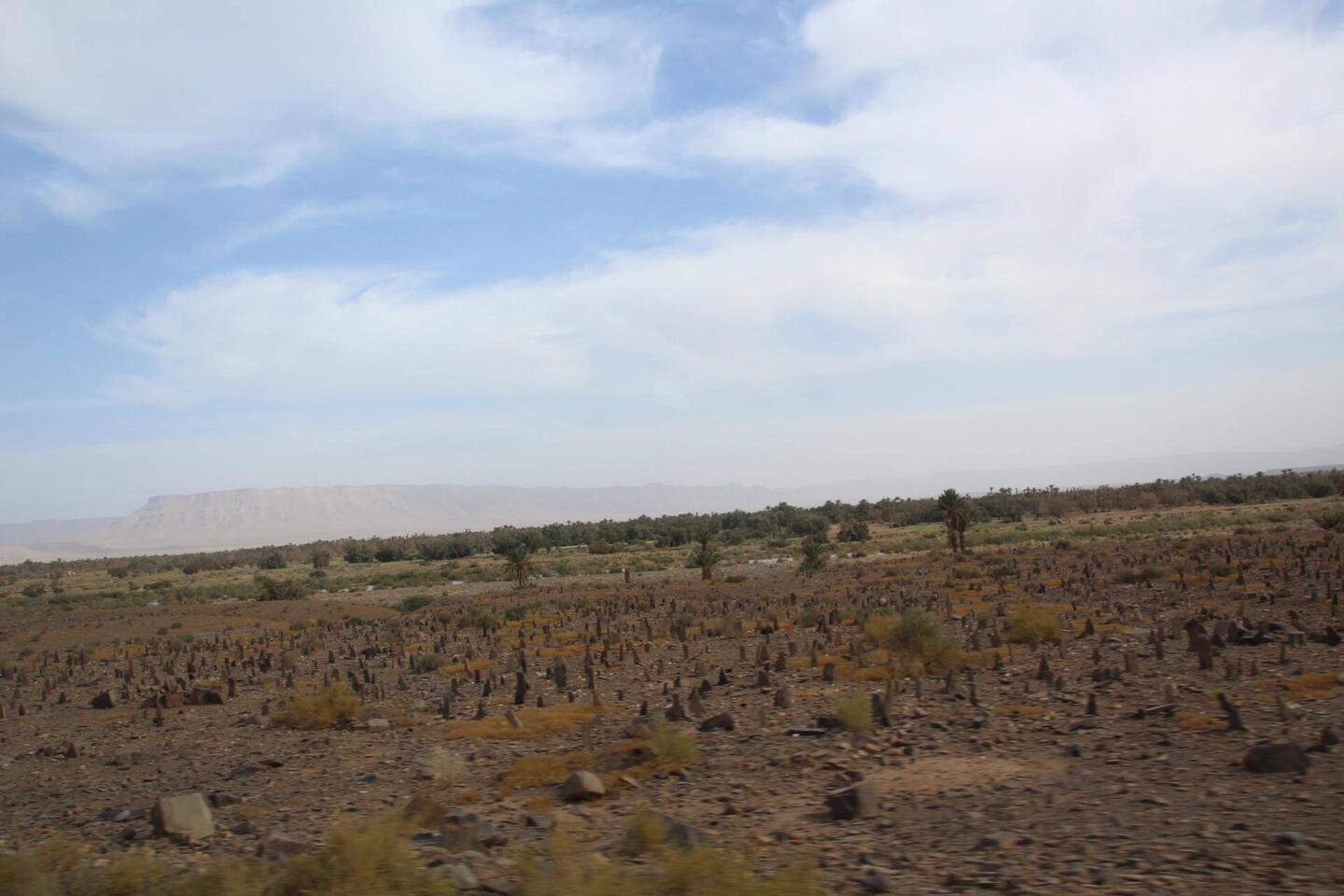 Islamischer Friedhof