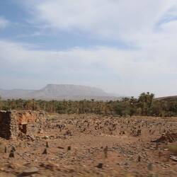 Islamischer Friedhof