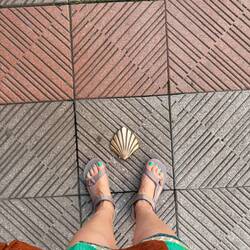 Shell Camino markers