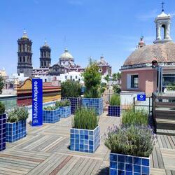 Dachterrasse Museo Amparo